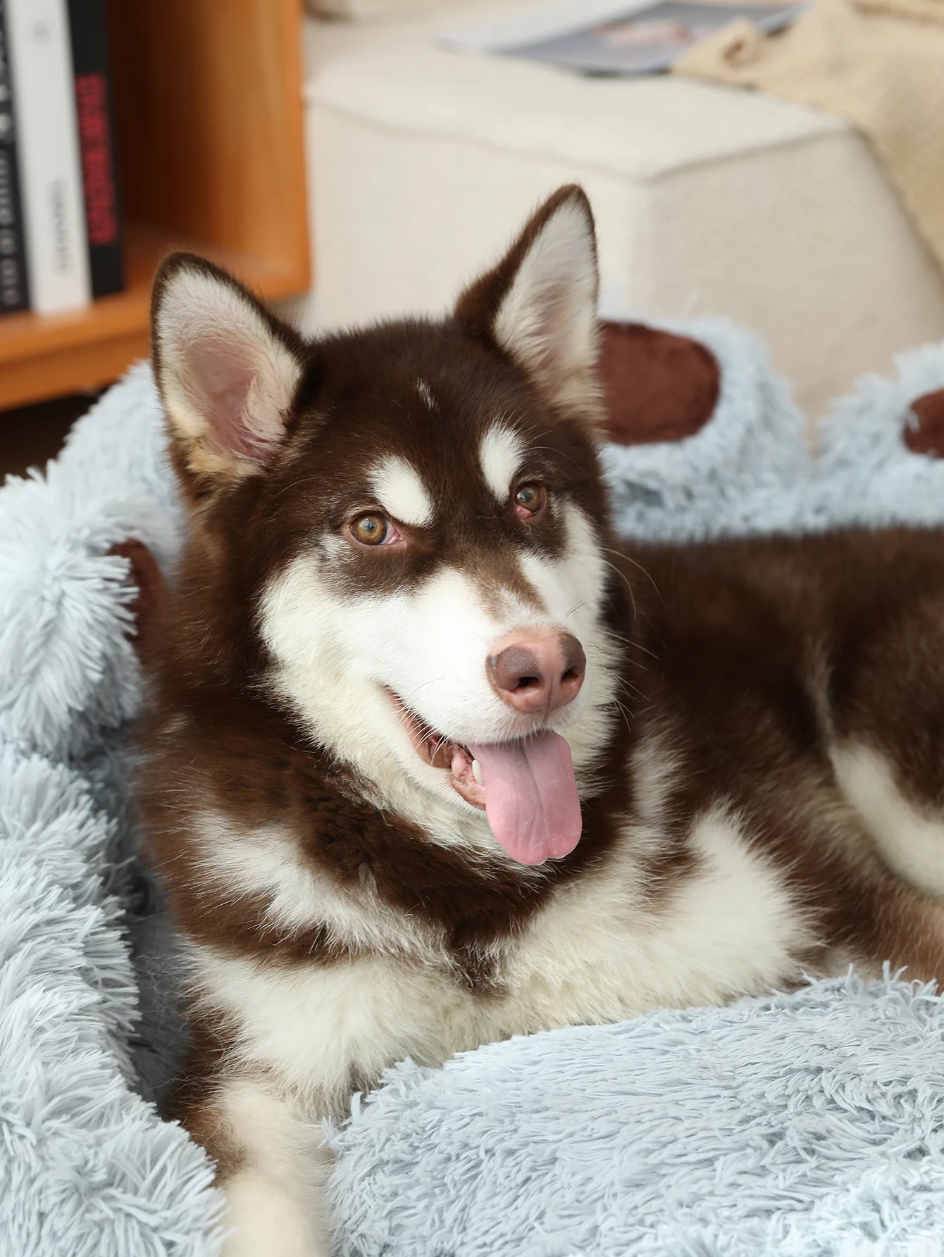 Calming Dog Paw Bed - Tails & Paws