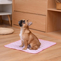 CoolPup - Pet Cooling Mat - Tails & Paws