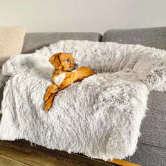 Dog Sofa Cover - Tails & Paws