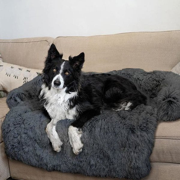 Dog Sofa Cover - Tails & Paws