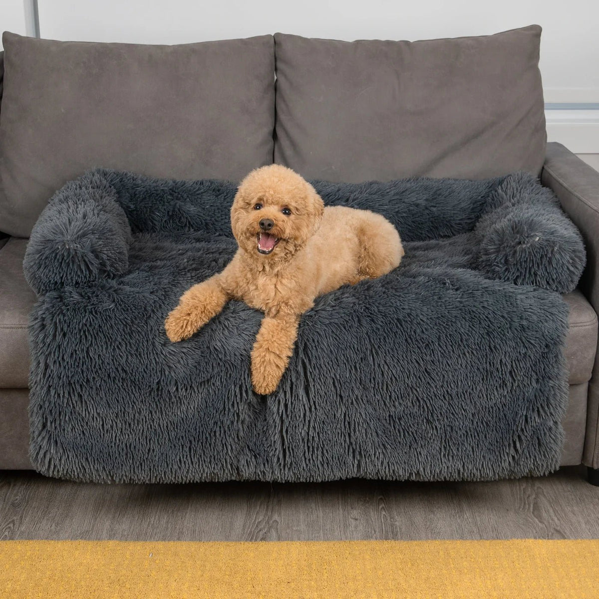 Dog Sofa Cover - Tails & Paws