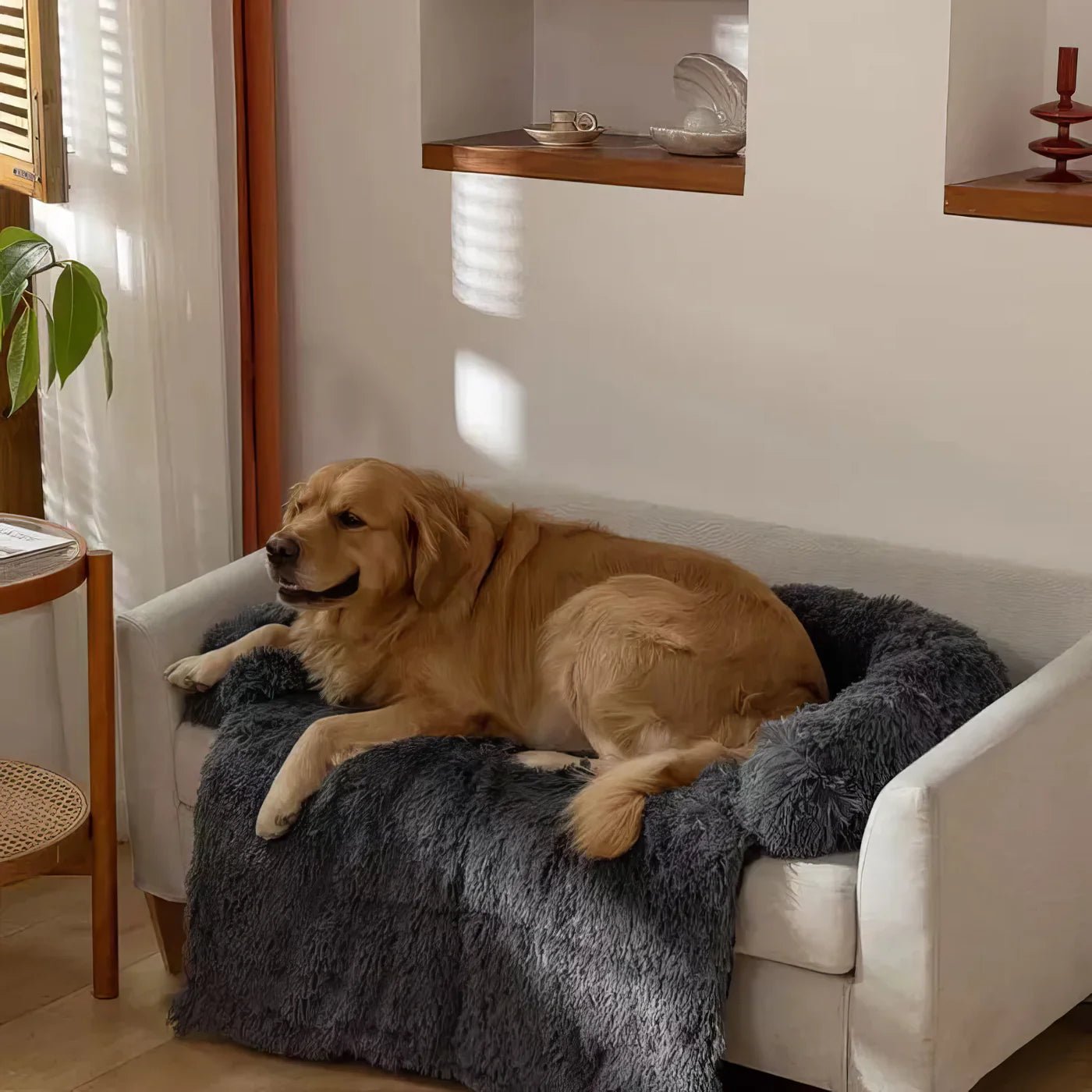 Dog Sofa Cover - Tails & Paws