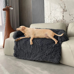 Dog Sofa Cover - Tails & Paws