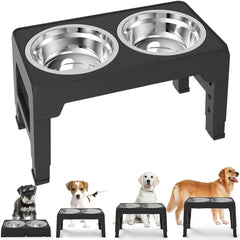 Elevated Dog Bowl - Tails & Paws