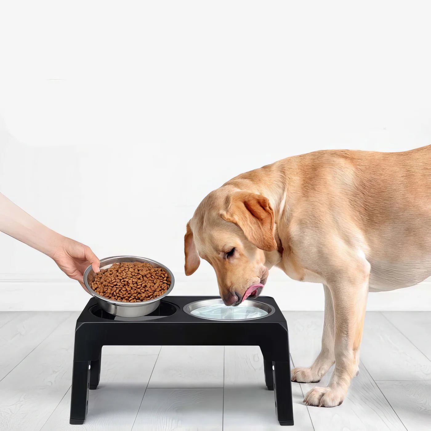 Elevated Dog Bowl - Tails & Paws