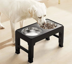 Elevated Dog Bowl - Tails & Paws