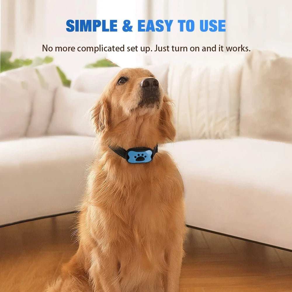 Gentle Anti - Bark Collar - Tails & Paws