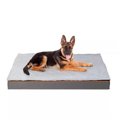 Large Orthopedic Dog Bed - Tails & Paws