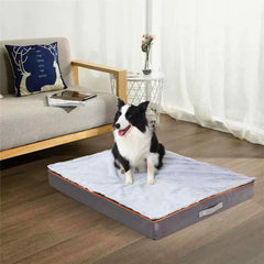 Large Orthopedic Dog Bed - Tails & Paws