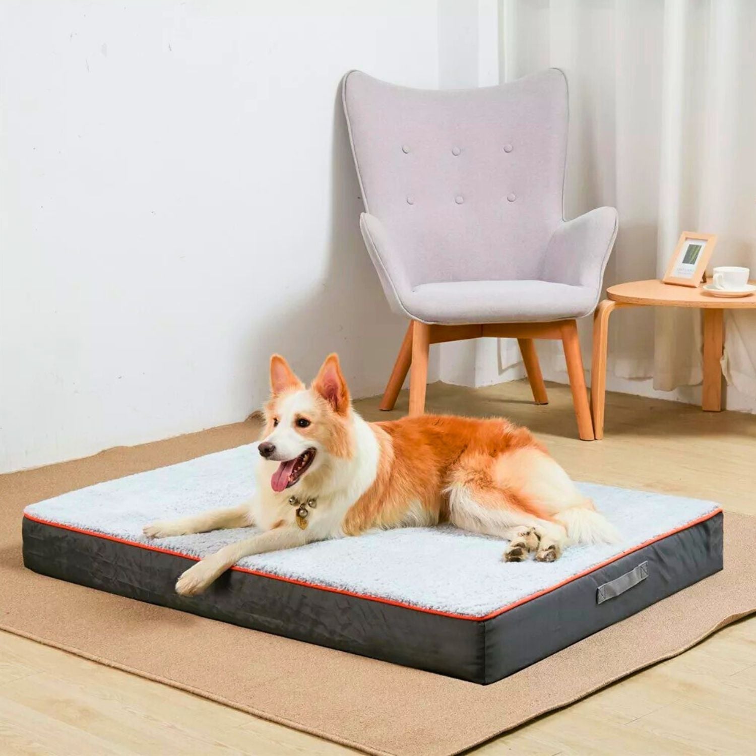 Large Orthopedic Dog Bed - Tails & Paws