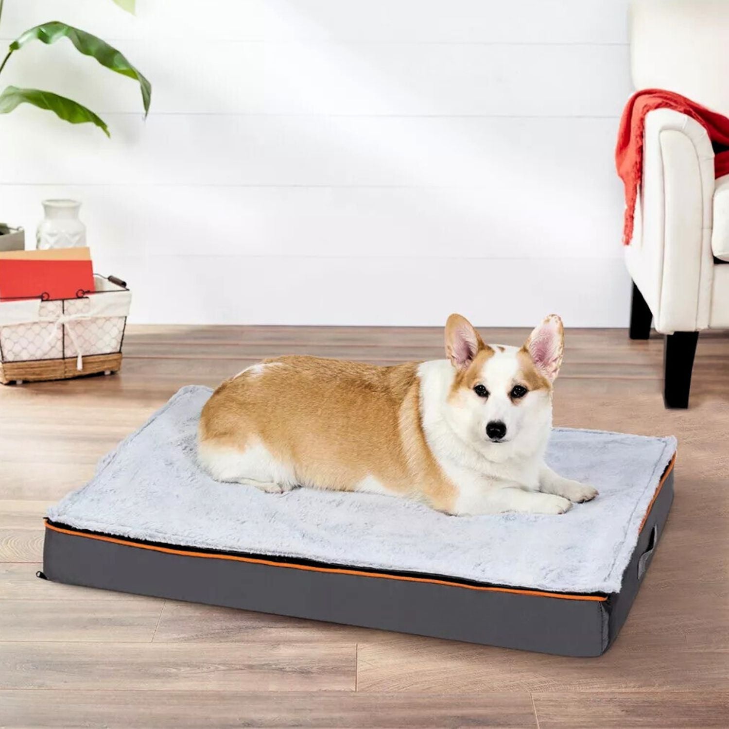 Large Orthopedic Dog Bed - Tails & Paws