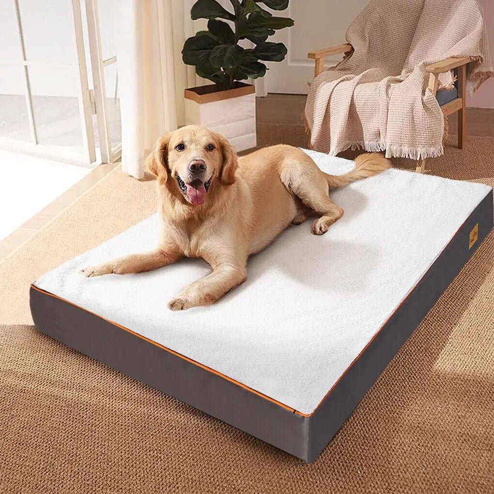 Large Orthopedic Memory Foam Dog Bed - Tails & Paws