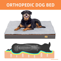 Large Orthopedic Memory Foam Dog Bed - Tails & Paws