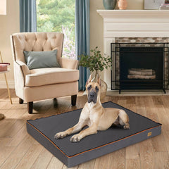 Large Orthopedic Memory Foam Dog Bed - Tails & Paws