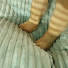 Luxurious Dog Bed - Tails & Paws