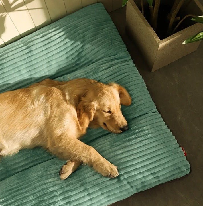 Luxurious Dog Bed - Tails & Paws