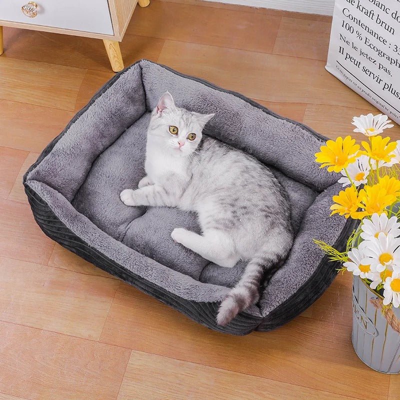 Square Pet Bed - Tails & Paws