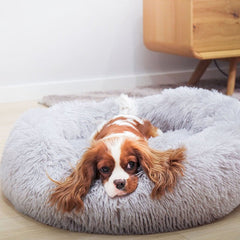 Ultra Calming Dog Bed - Tails & Paws