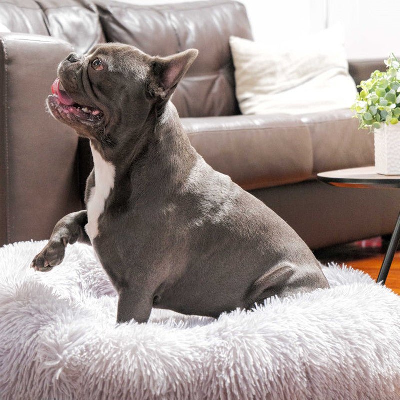 Ultra Calming Dog Bed - Tails & Paws