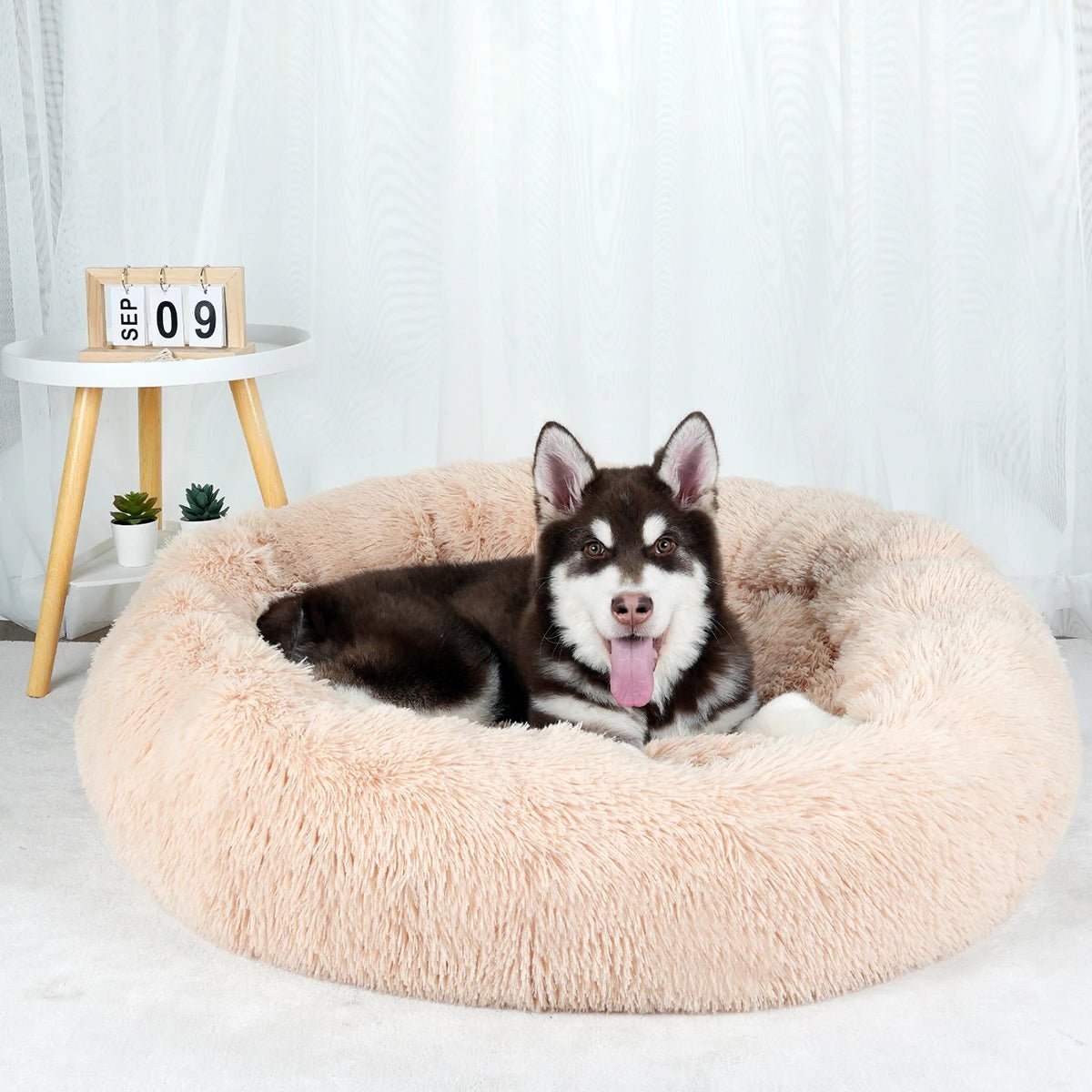 Ultra Calming Dog Bed - Tails & Paws