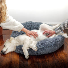 Ultra Calming Dog Bed - Tails & Paws