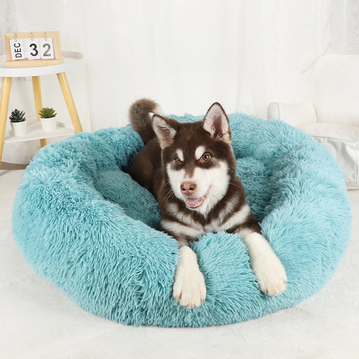 Ultra Calming Dog Bed - Tails & Paws