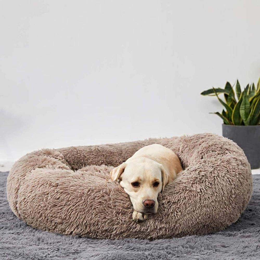 Ultra Calming Dog Bed - Tails & Paws